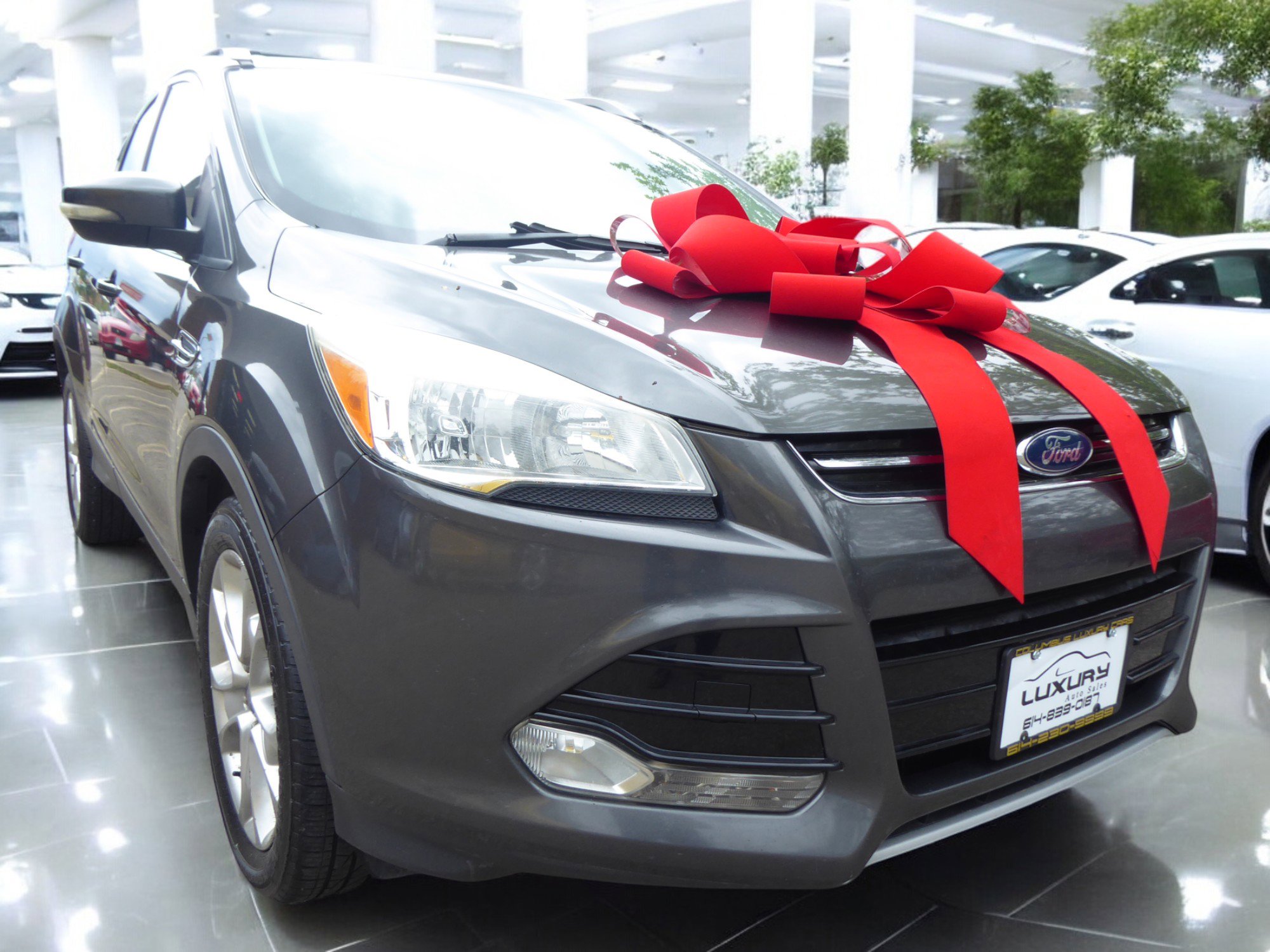 Used 2015 Ford Escape Titanium image 3