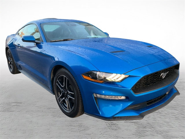 Used 2019 Ford Mustang Premium w/ Equipment Group 201A RWD image 8