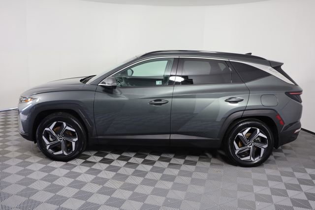 Certified 2024 Hyundai Tucson Limited image 5