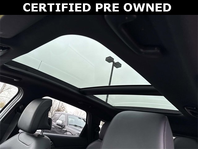 Used 2023 Kia Sportage X-Pro Prestige image 16