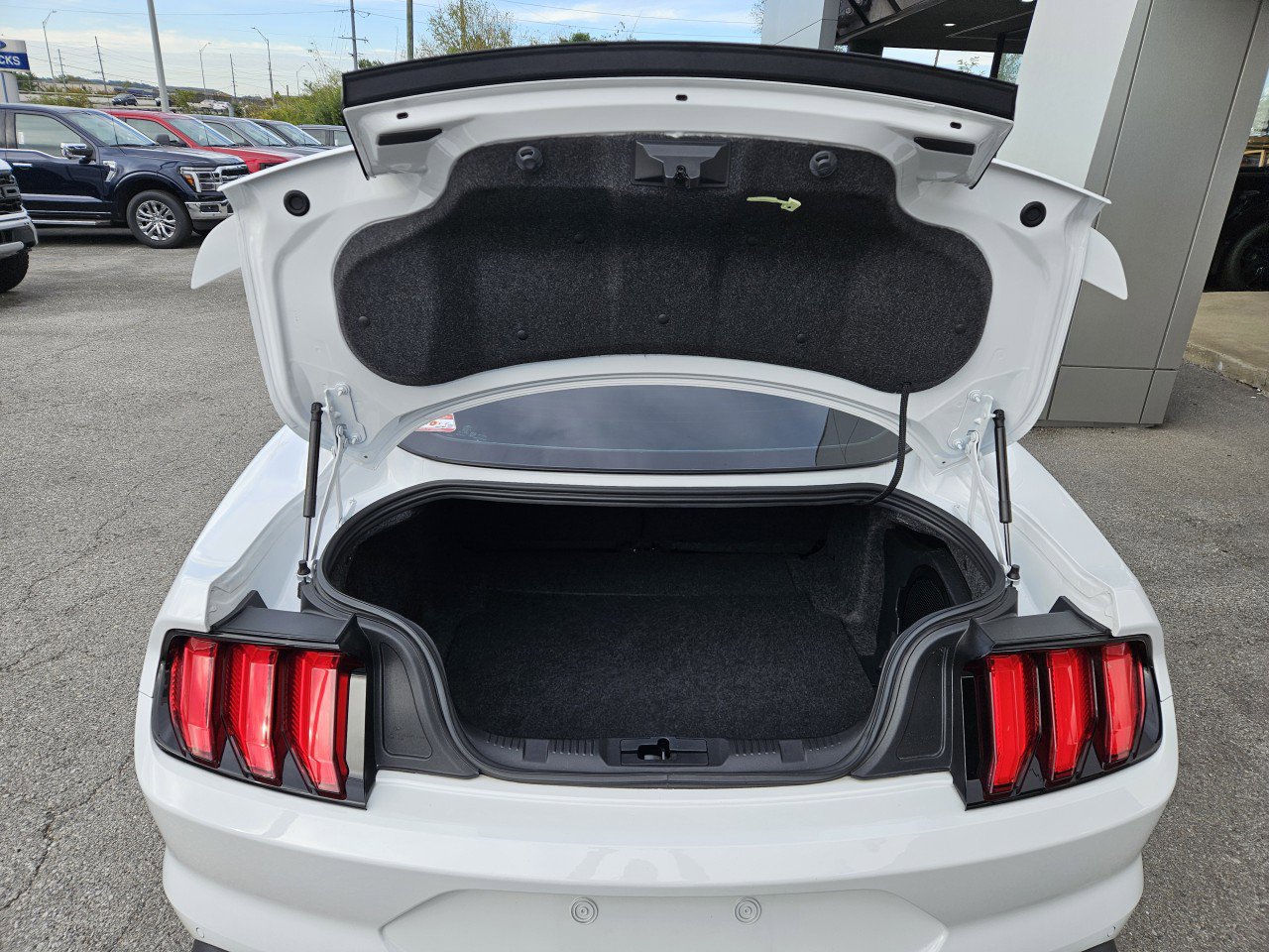 Used 2021 Ford Mustang GT Premium w/ Equipment Group 401A image 11