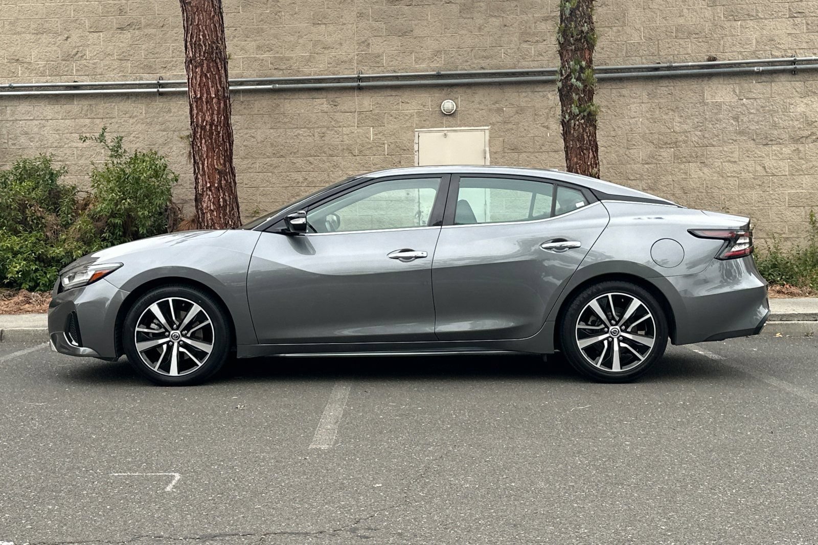 Used 2021 Nissan Maxima 3.5 SV w/ Floor Mat Group FWD image 6