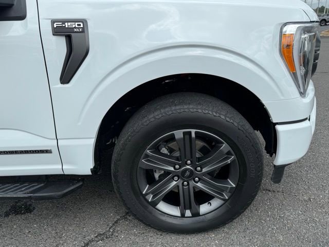 Certified 2023 Ford F150 XLT w/ Equipment Group 302A High image 8