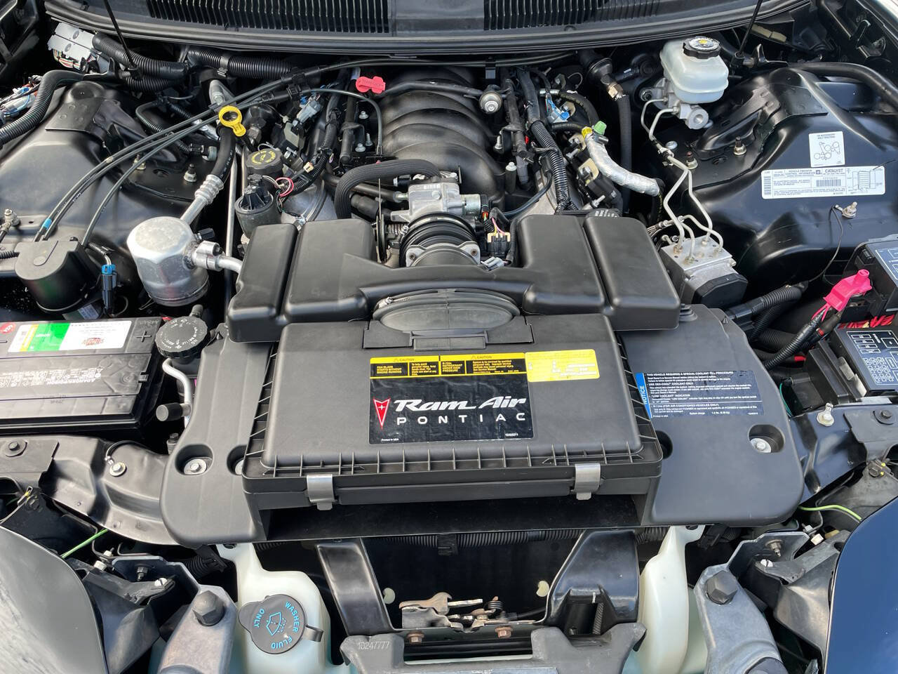 Used 1999 Pontiac Firebird Trans Am RWD image 66