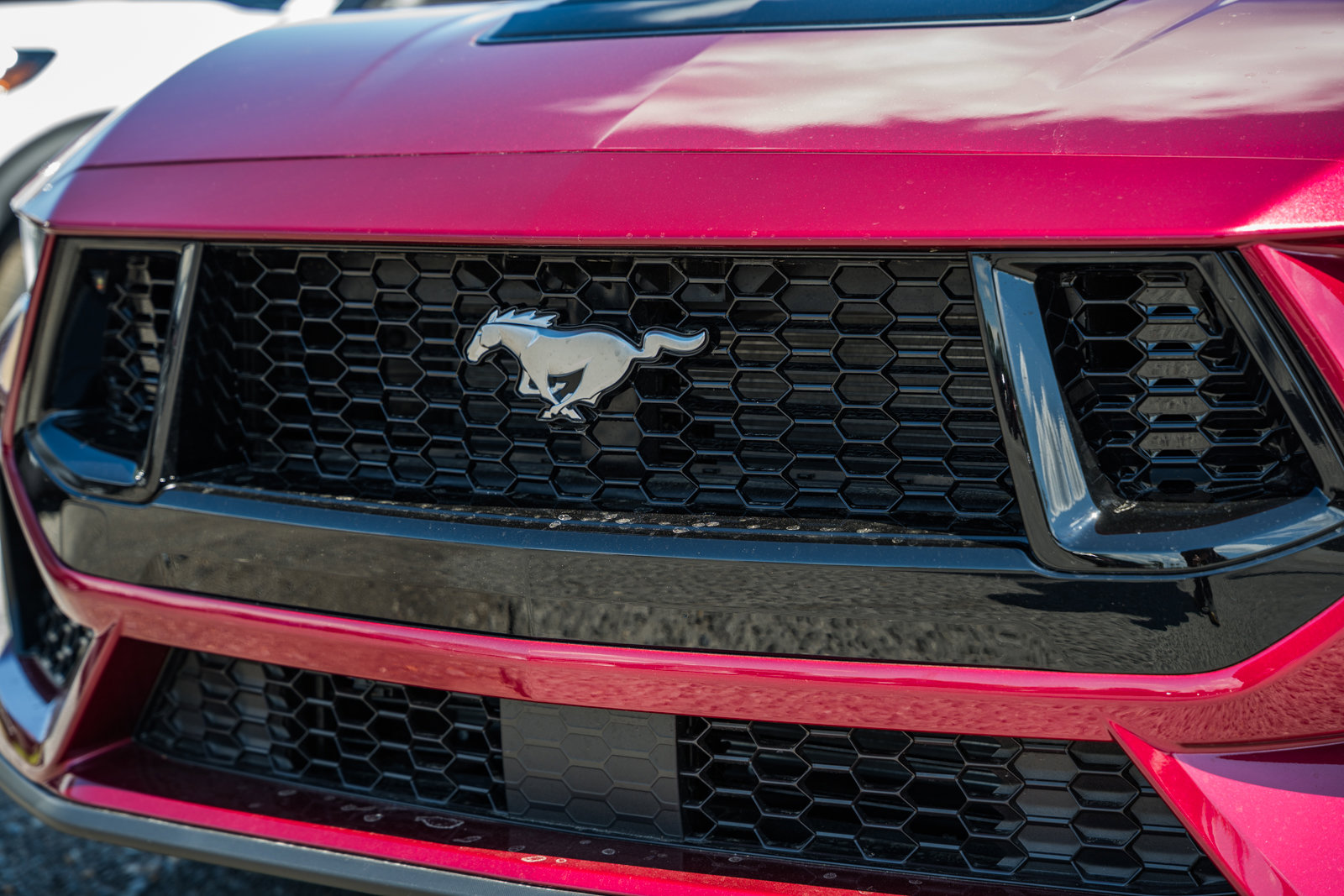 New 2026 Ford Mustang GT RWD image 12