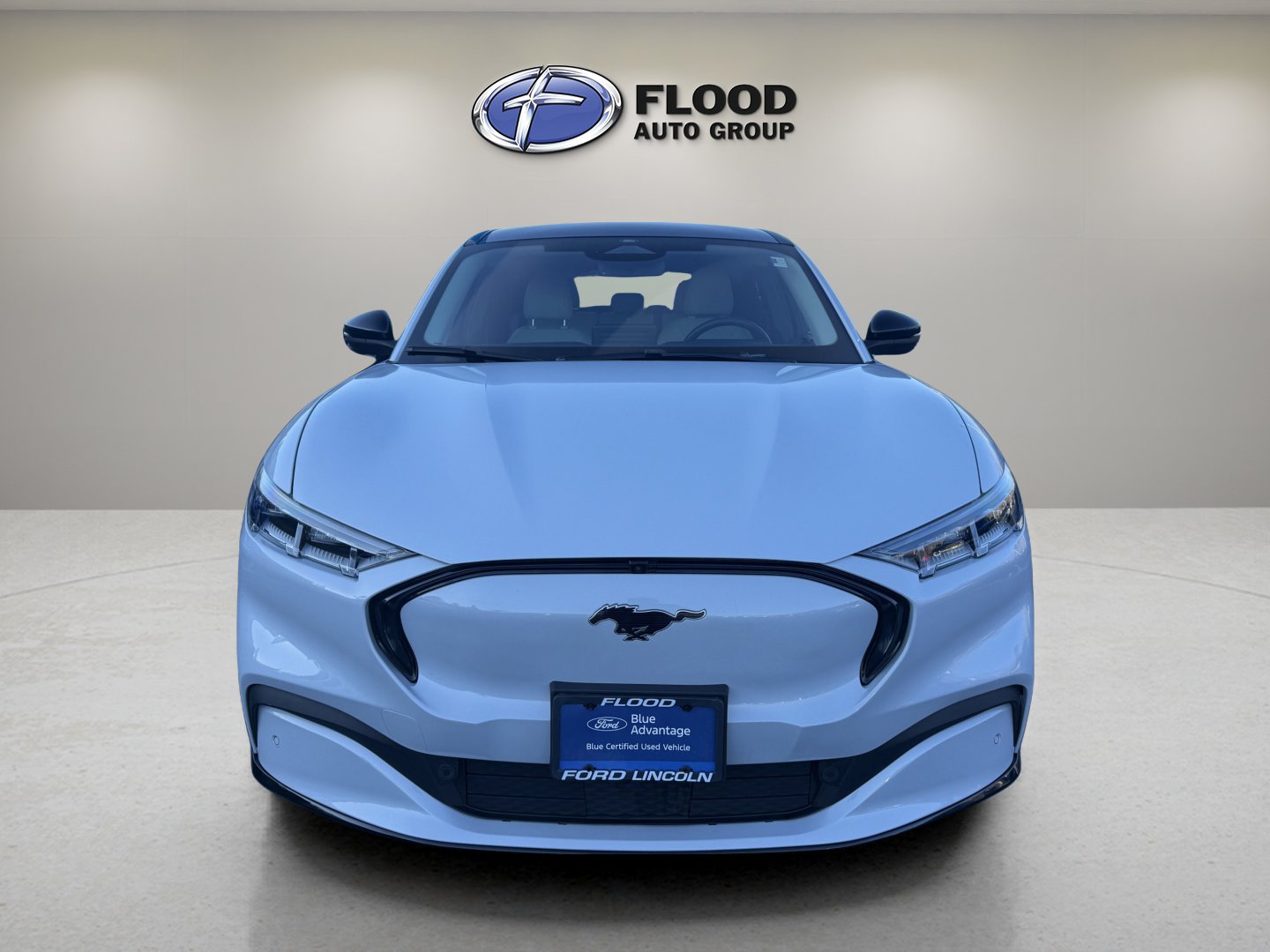 Used 2021 Ford Mustang Mach-E Premium image 2