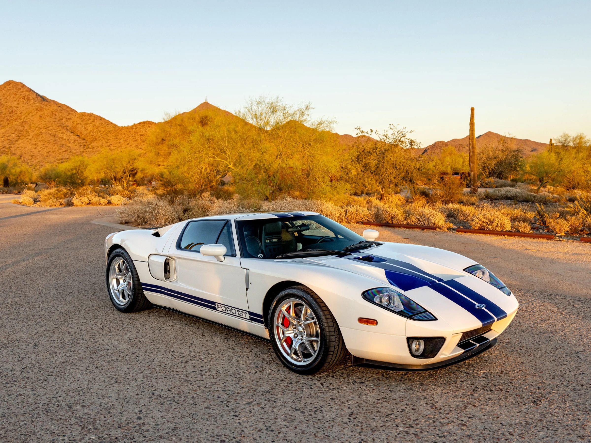 Used 2005 Ford GT image 20