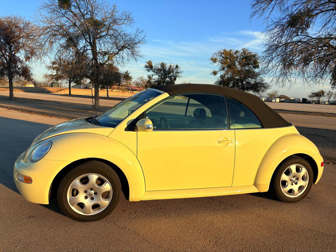 Used 2003 Volkswagen Beetle GLS image 50