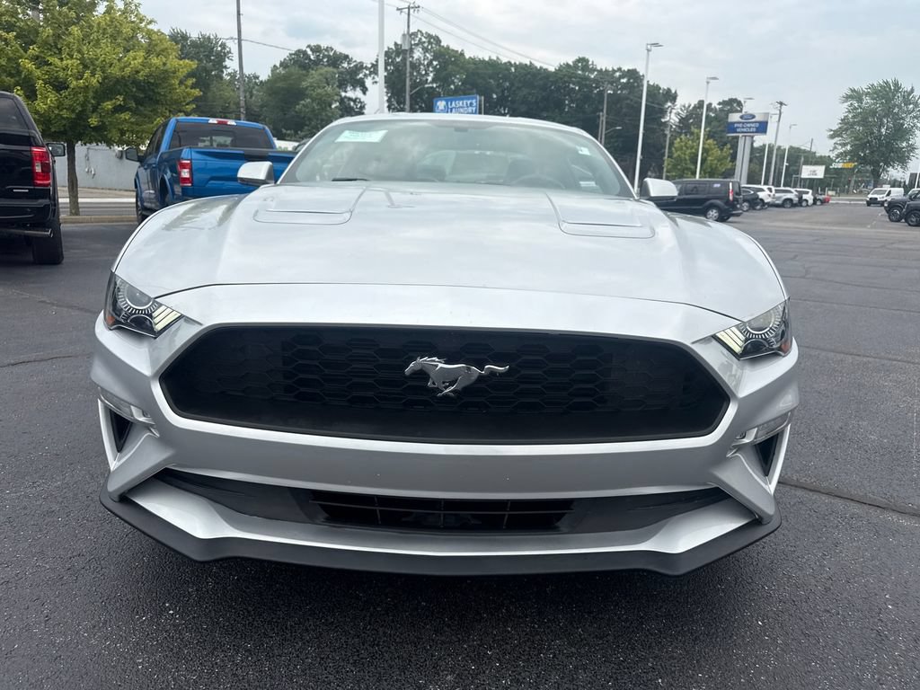 Used 2019 Ford Mustang Premium w/ Equipment Group 201A RWD image 3