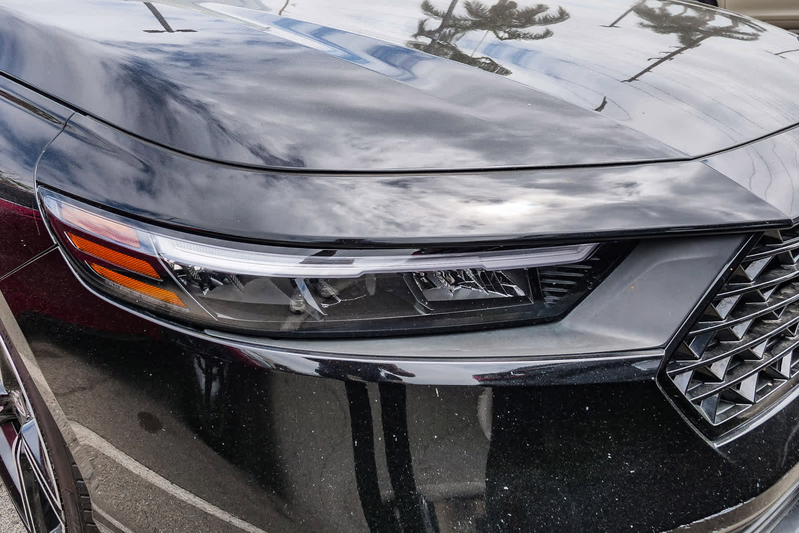 Used 2024 Honda Accord Sport image 5