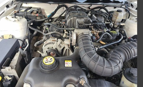 Used 2010 Ford Mustang Premium image 6