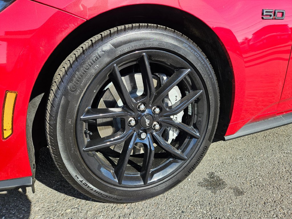 Used 2024 Ford Mustang GT Premium w/ Mustang Nite Pony Package RWD image 8