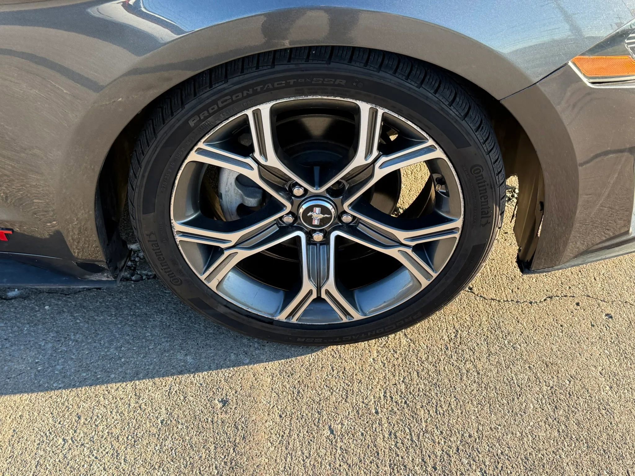 Used 2019 Ford Mustang Coupe RWD image 43