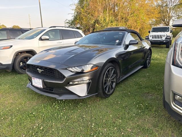 Used 2019 Ford Mustang Premium w/ Equipment Group 201A RWD image 11