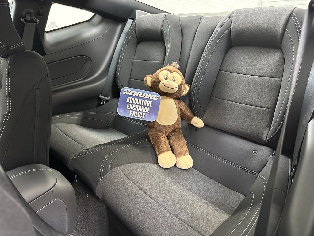 New 2025 Ford Mustang Coupe image 14