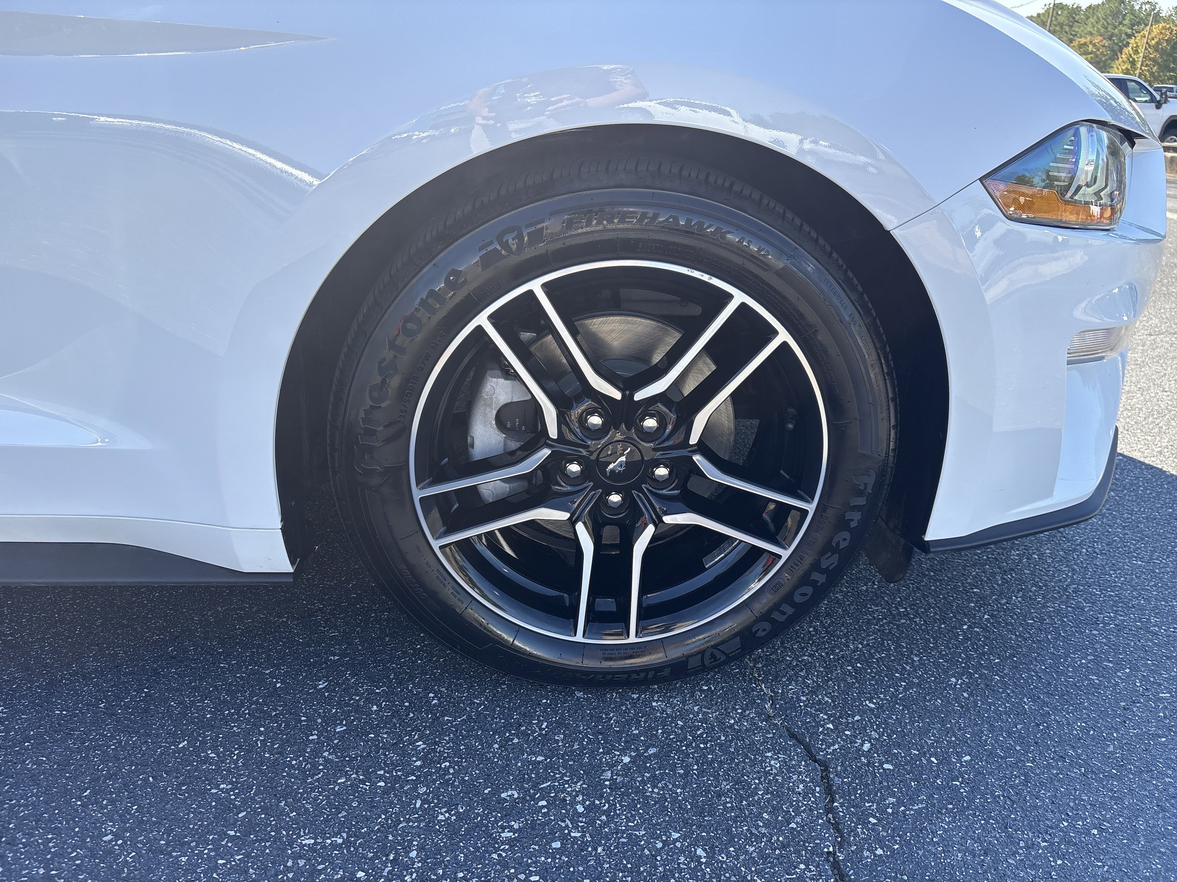 Used 2023 Ford Mustang Premium image 14