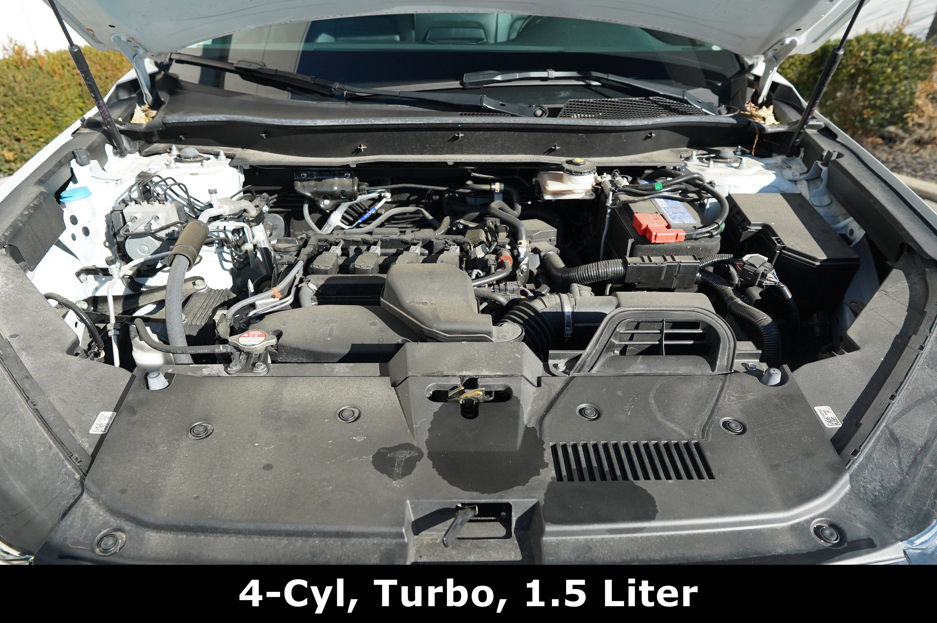 Used 2024 Honda CR-V EX-L image 15