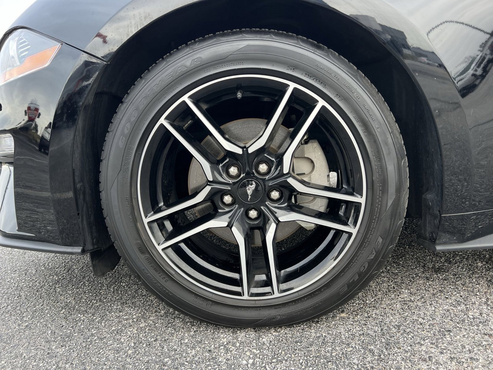 Used 2023 Ford Mustang Premium w/ Equipment Group 201A image 12