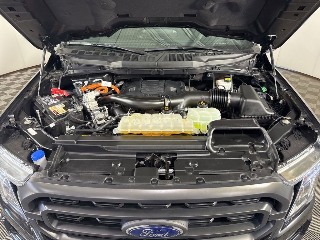 Certified 2023 Ford F150 XLT w/ Equipment Group 302A High AWD/4WD image 4