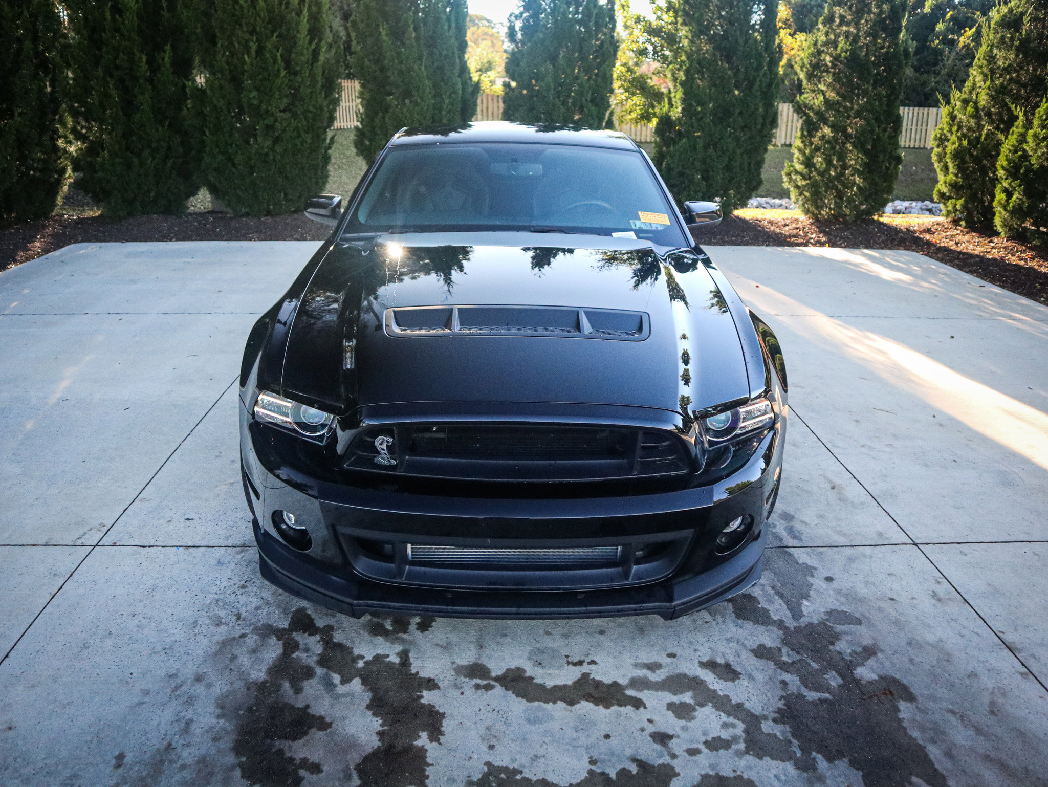 Used 2014 Ford Mustang Shelby GT500 w/ Equipment Group 821A image 38