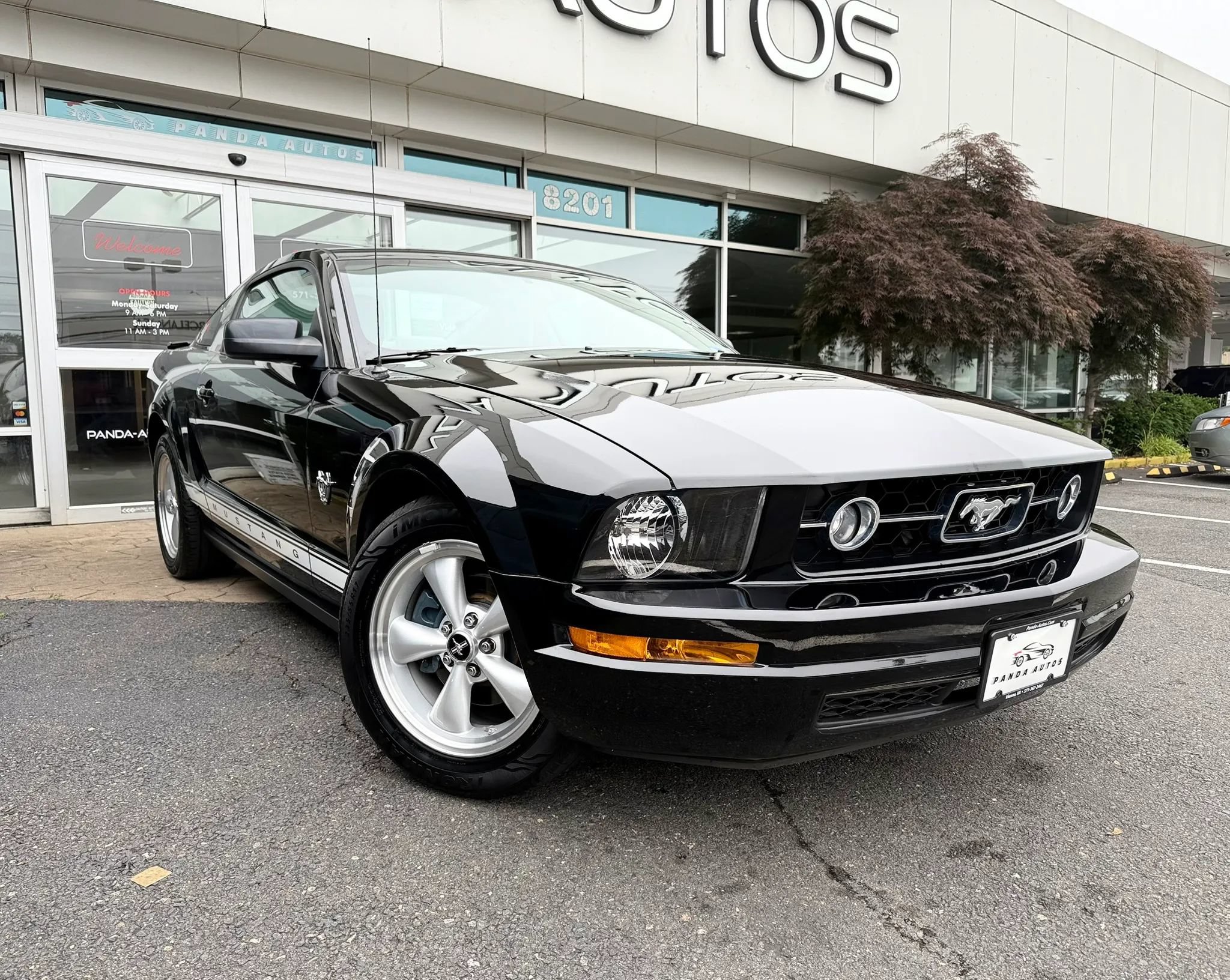 Used 2009 Ford Mustang Premium RWD image 1
