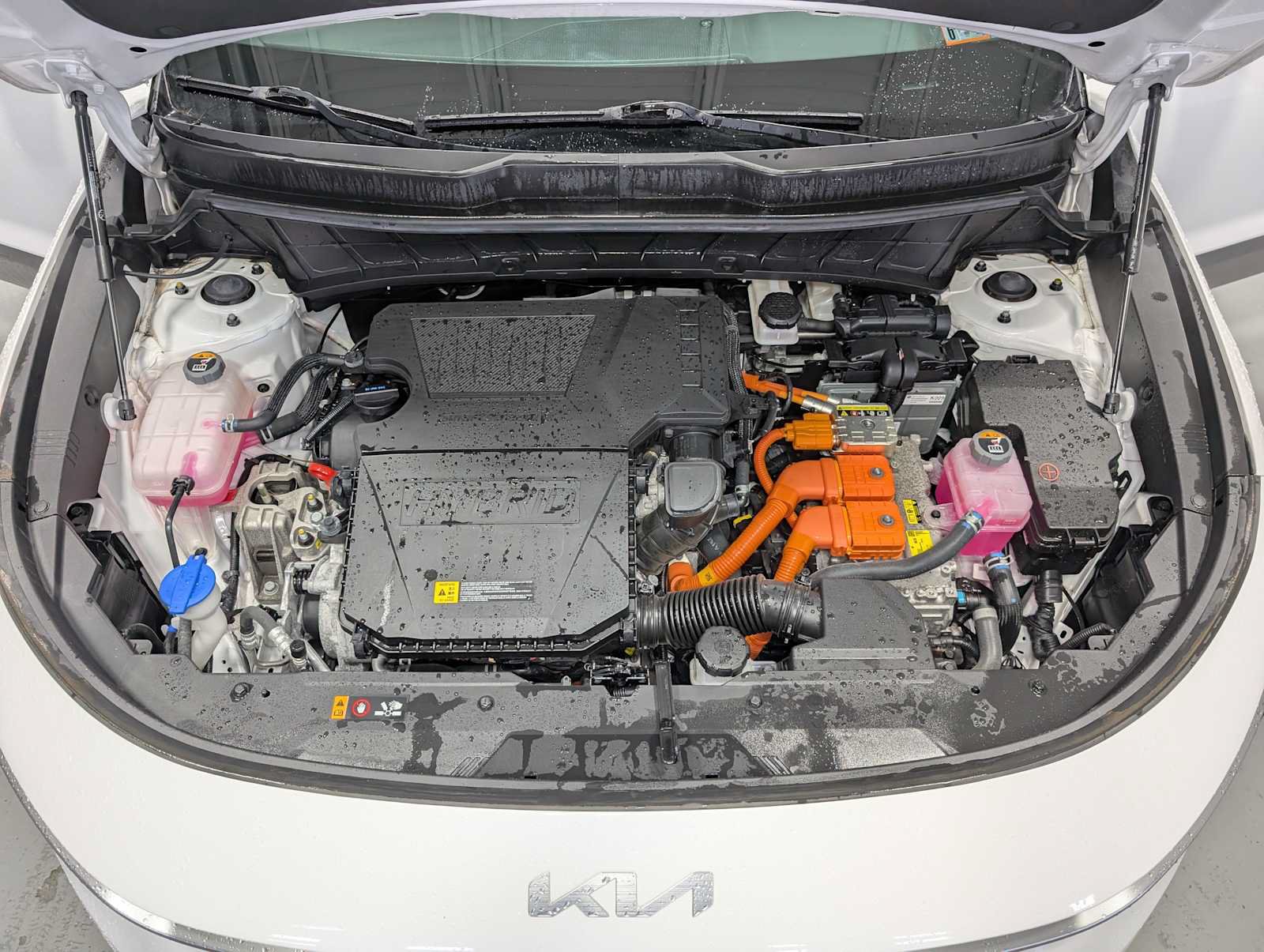 Used 2024 Kia Niro EX FWD image 14