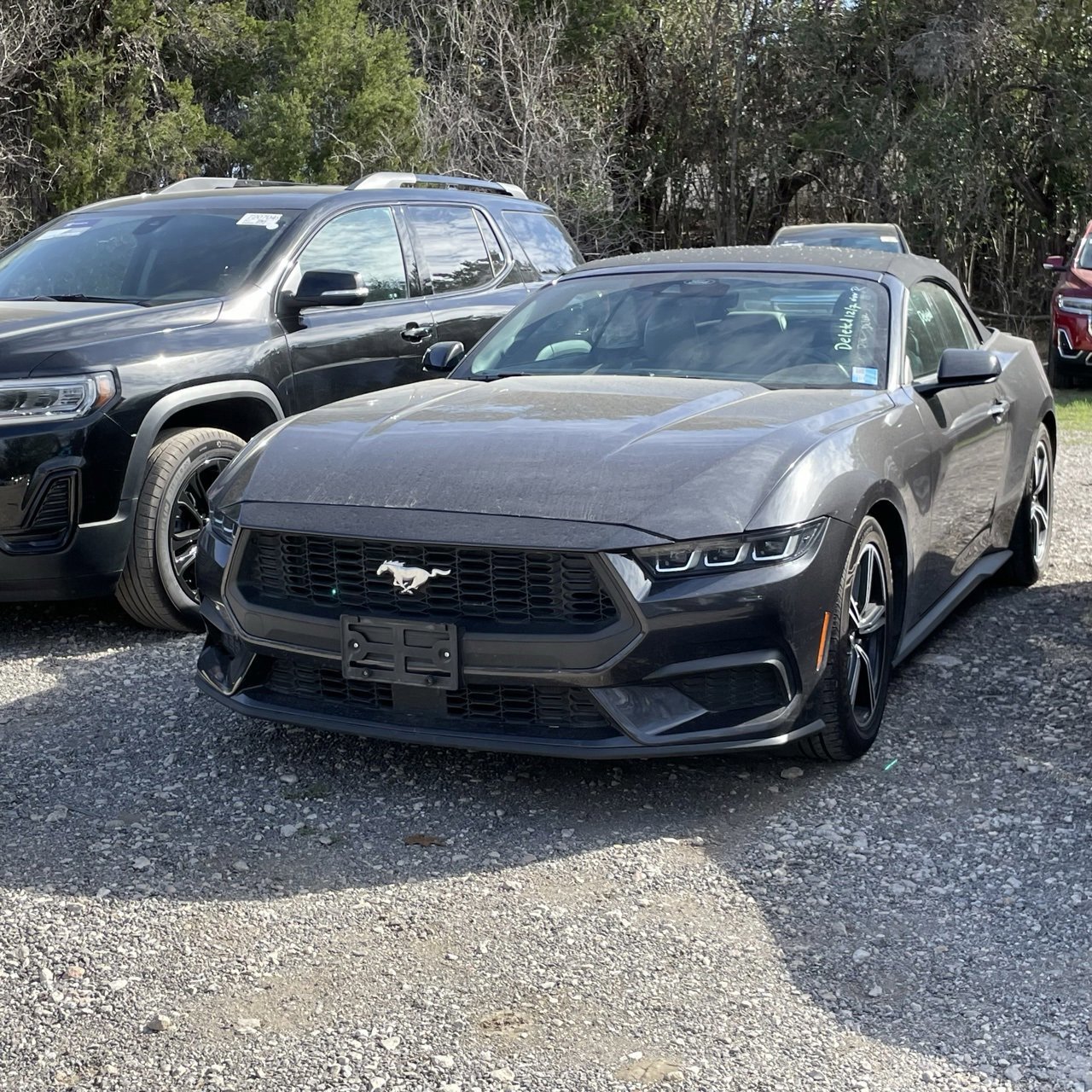 Used 2024 Ford Mustang Premium image 1