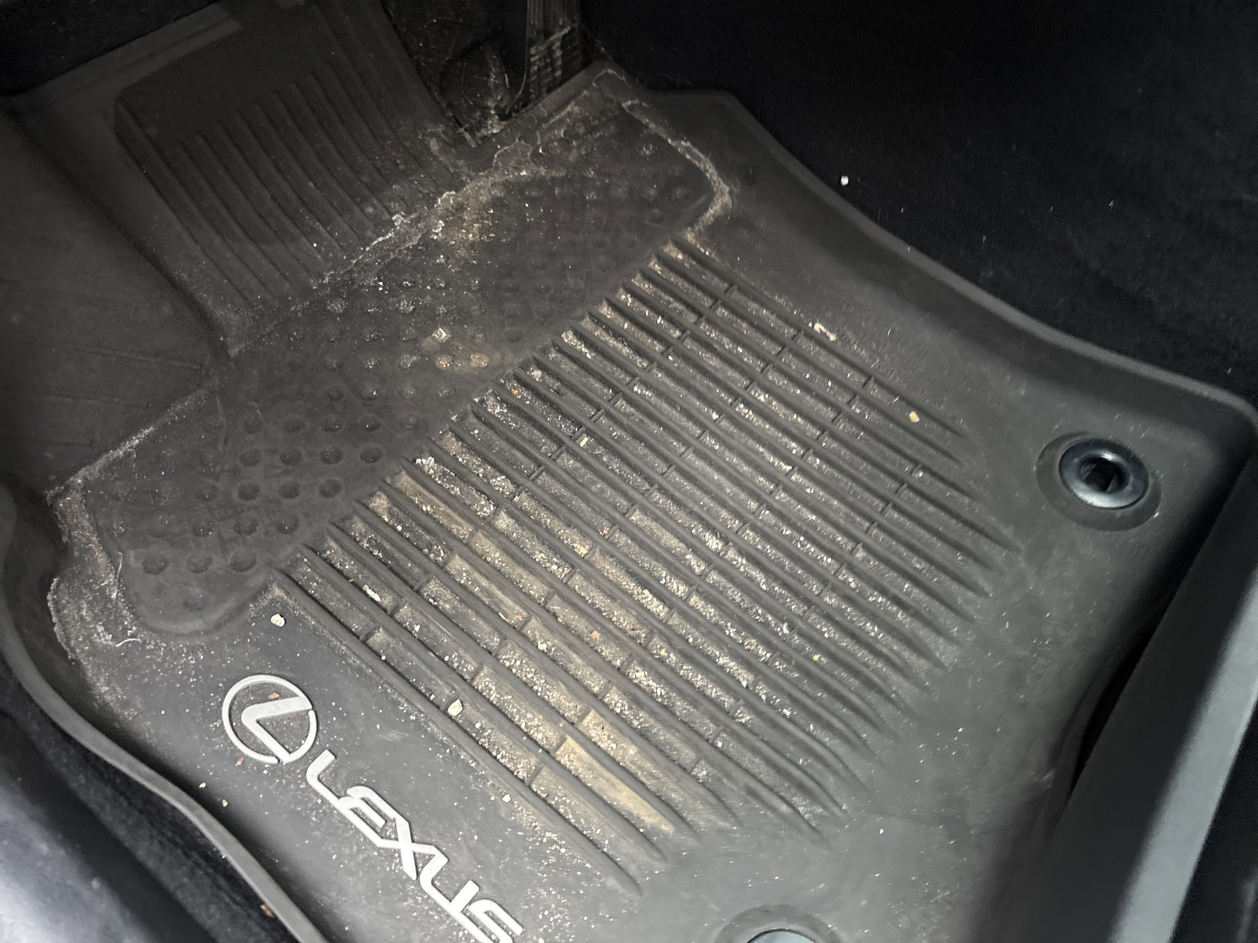 Used 2023 Lexus ES 250 w/ Premium Package image 17