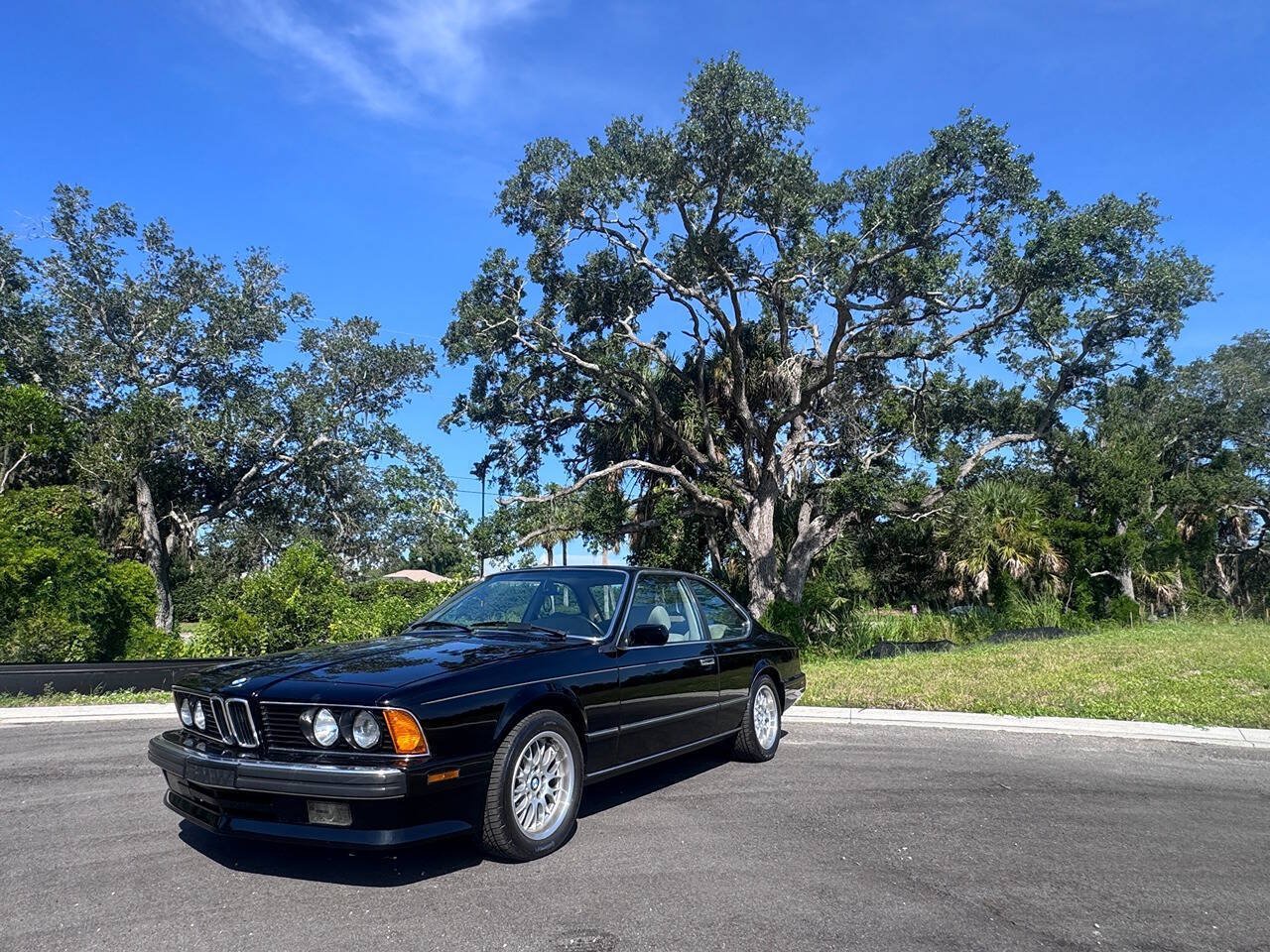Used 1988 BMW 635CSi Coupe RWD image 4