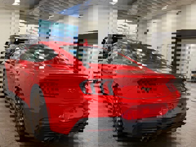 New 2024 Ford Mustang Premium image 5