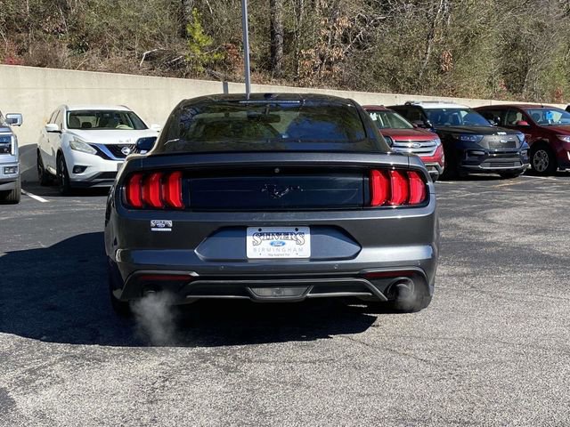 Certified 2019 Ford Mustang Coupe w/ Equipment Group 101A image 5
