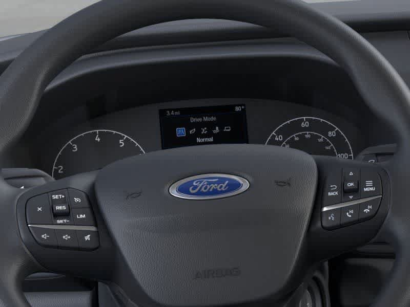 New 2025 Ford Transit 250 Low Roof w/ Load Area Protection Package RWD image 13