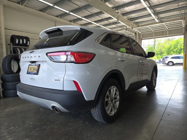 Used 2021 Ford Escape SE FWD image 3