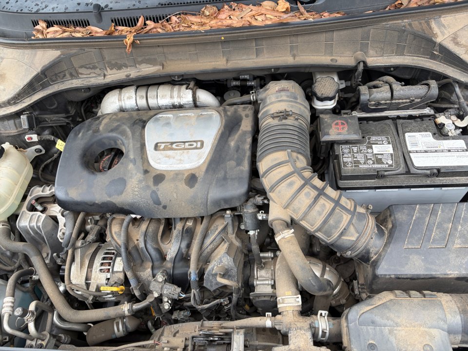 Used 2021 Hyundai Kona Limited FWD image 20