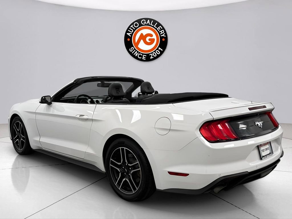 Used 2019 Ford Mustang Premium image 9