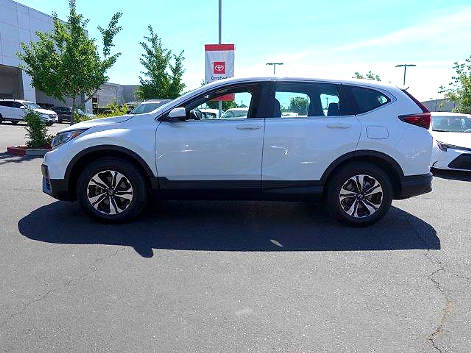 Used 2021 Honda CR-V Special Edition image 6