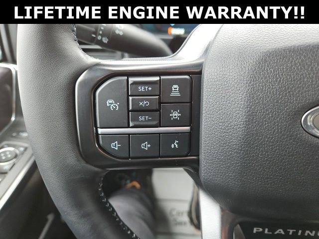 New 2026 Ford F250 Platinum image 24