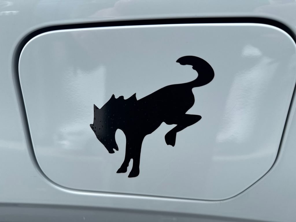 Used 2021 Ford Bronco Sport Big Bend w/ Big Bend Package (96B) image 28