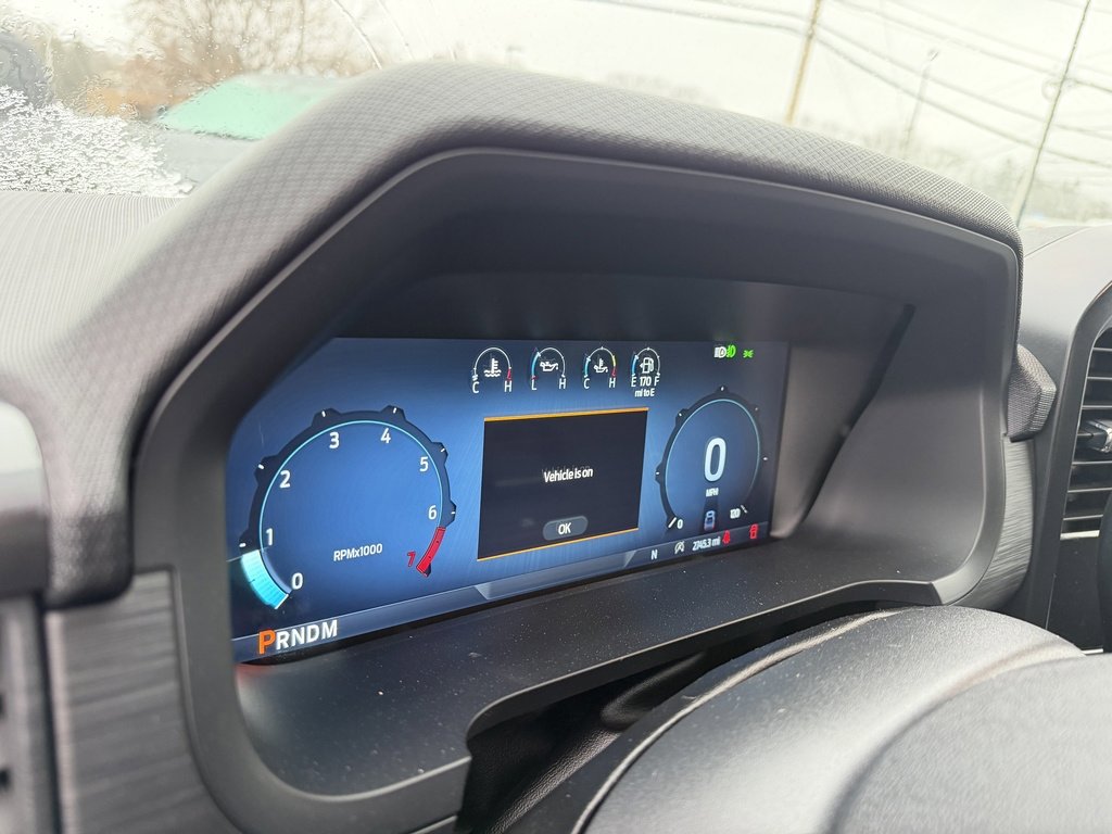 Used 2024 Ford F150 STX w/ STX Black Appearance Package image 13