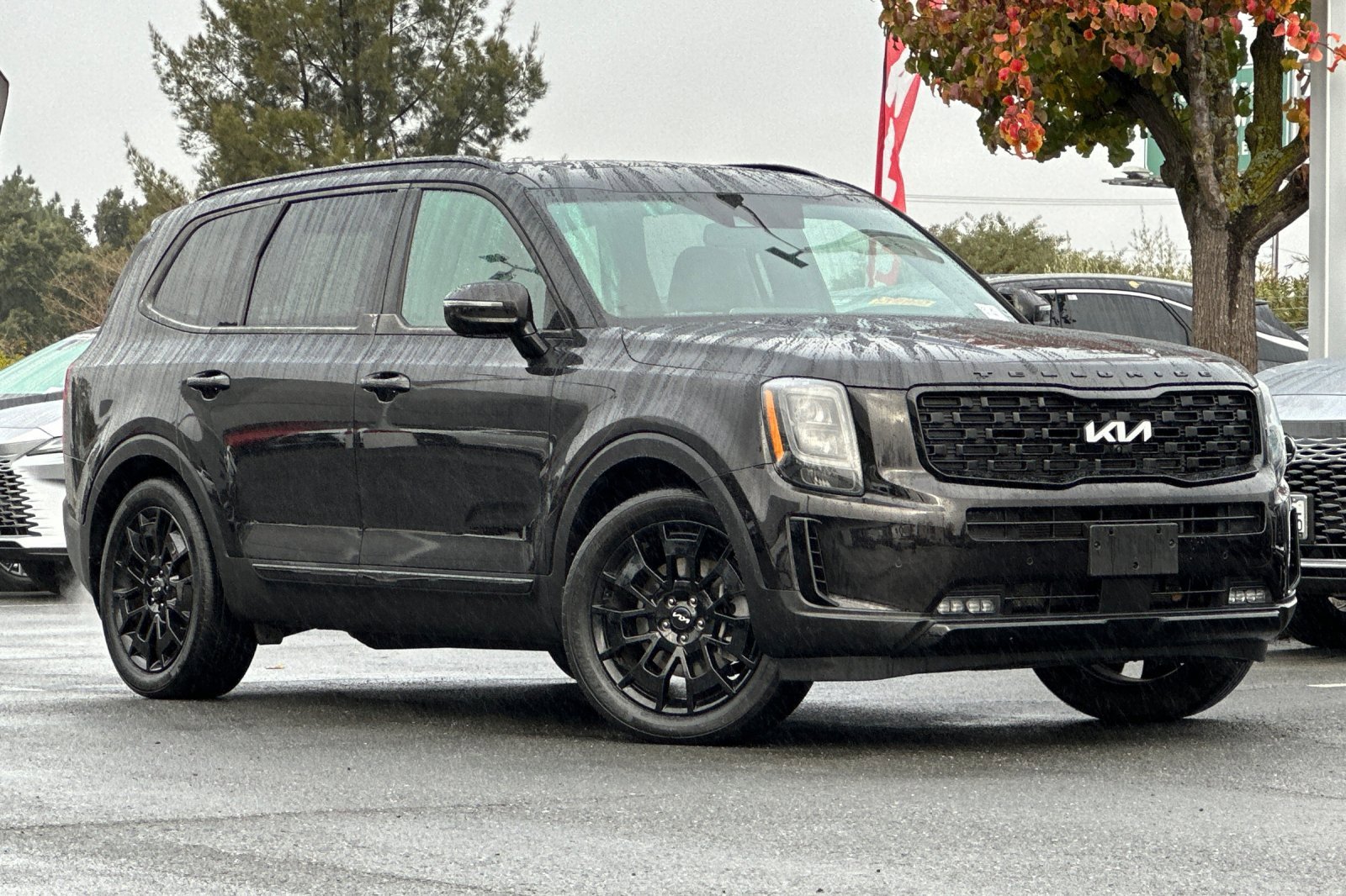 Used 2022 Kia Telluride SX w/ SX Prestige Package image 2