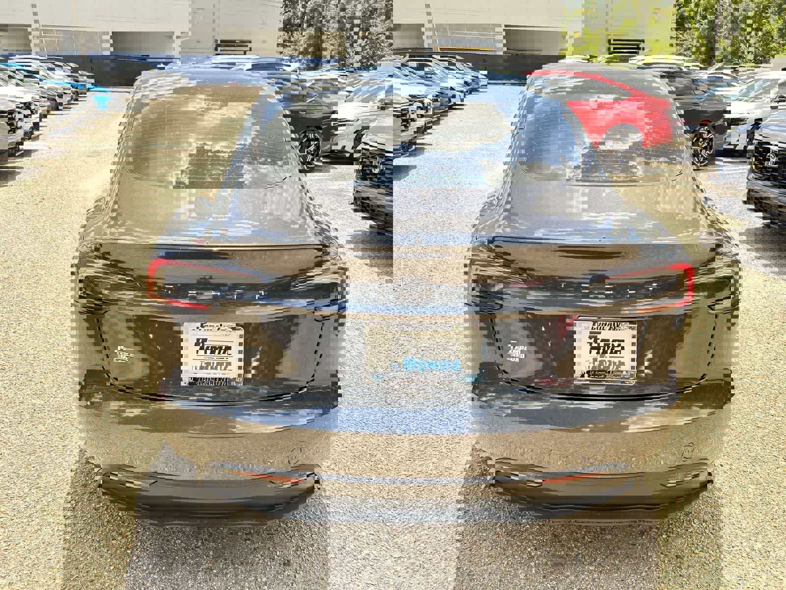 Used 2024 Tesla Model 3 Standard Range RWD image 7