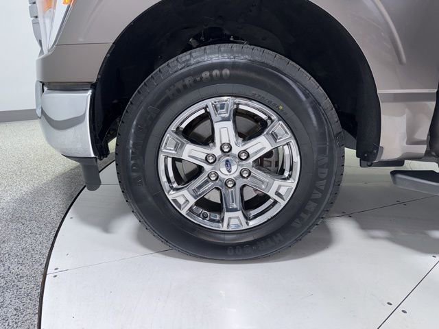 Used 2023 Ford F150 XLT w/ Equipment Group 301A Mid image 5