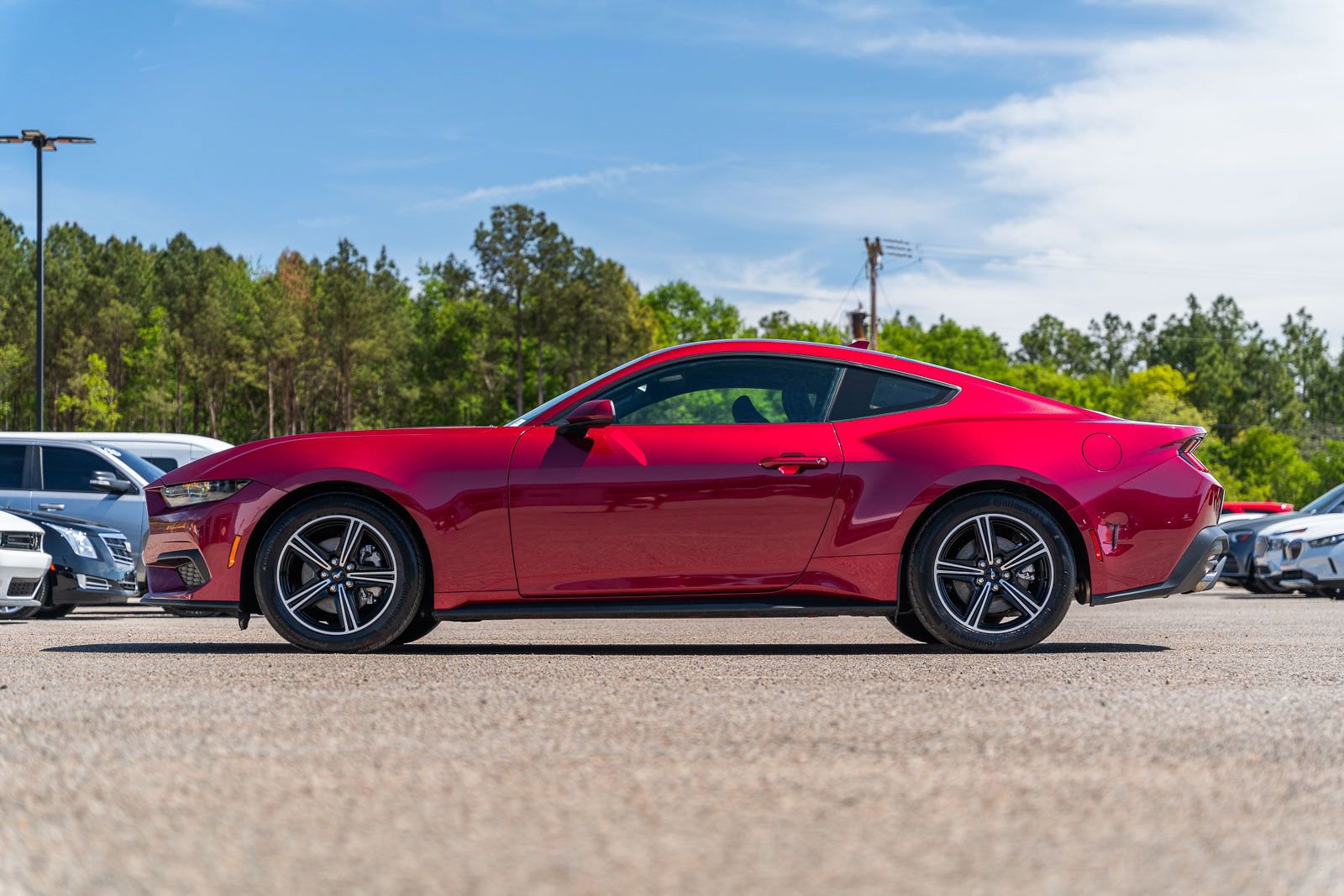 Used 2025 Ford Mustang Coupe image 4