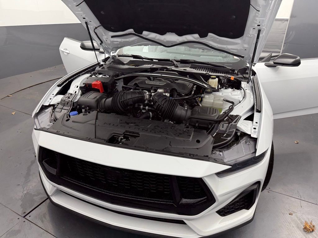 New 2025 Ford Mustang GT Premium w/ Mustang Nite Pony Package RWD image 16