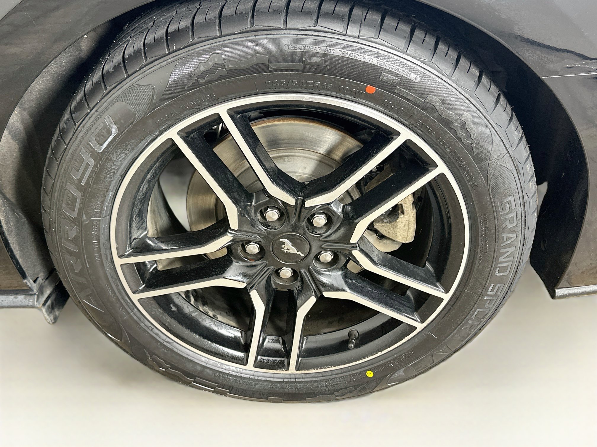 Used 2018 Ford Mustang Premium w/ Equipment Group 201A RWD image 11