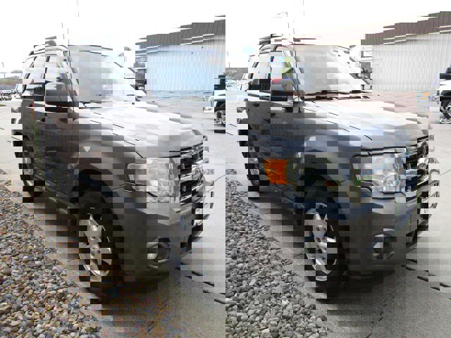 Used 2010 Ford Escape XLT image 3