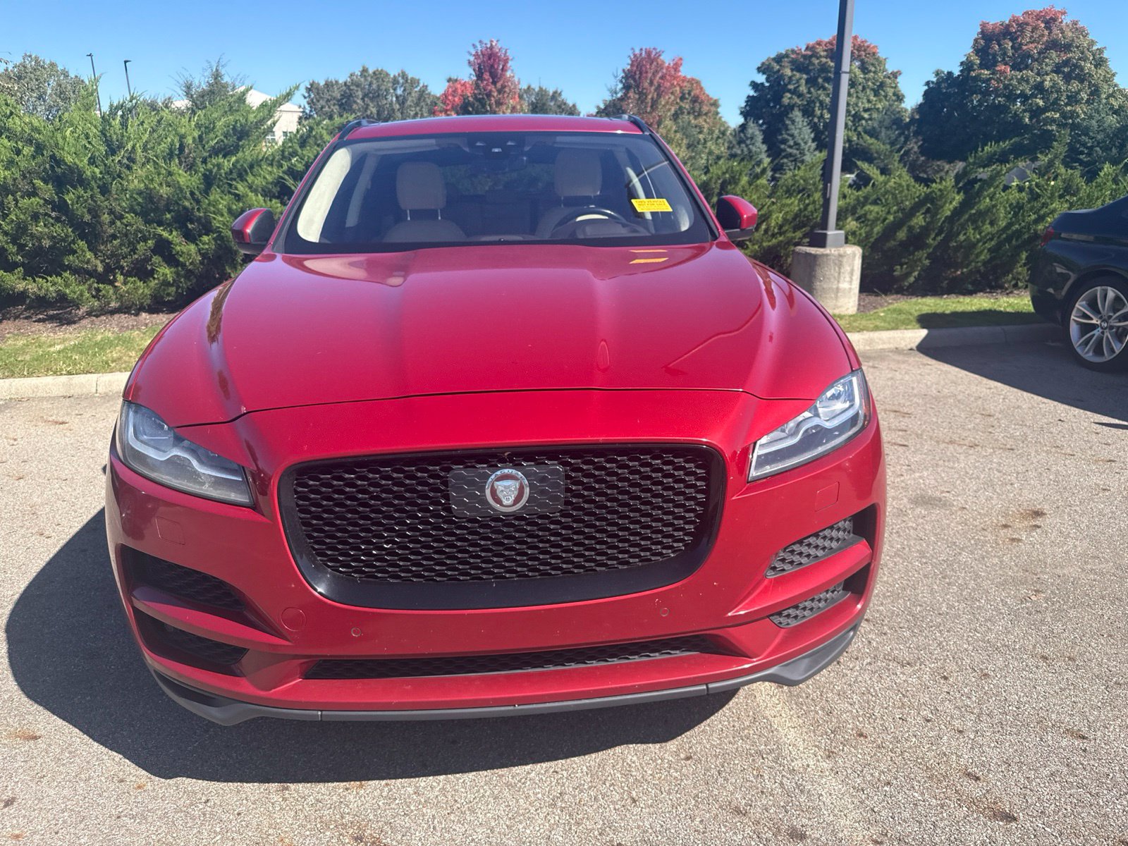 Used 2019 Jaguar F-PACE Prestige AWD/4WD image 2