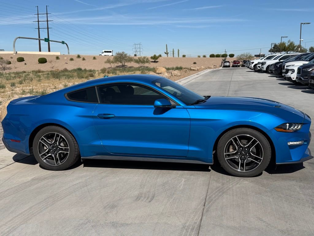 Used 2019 Ford Mustang EcoBoost w/ Equipment Group 101A image 3