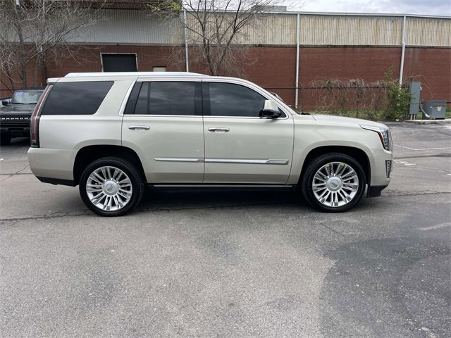 Used 2016 Cadillac Escalade Platinum image 2