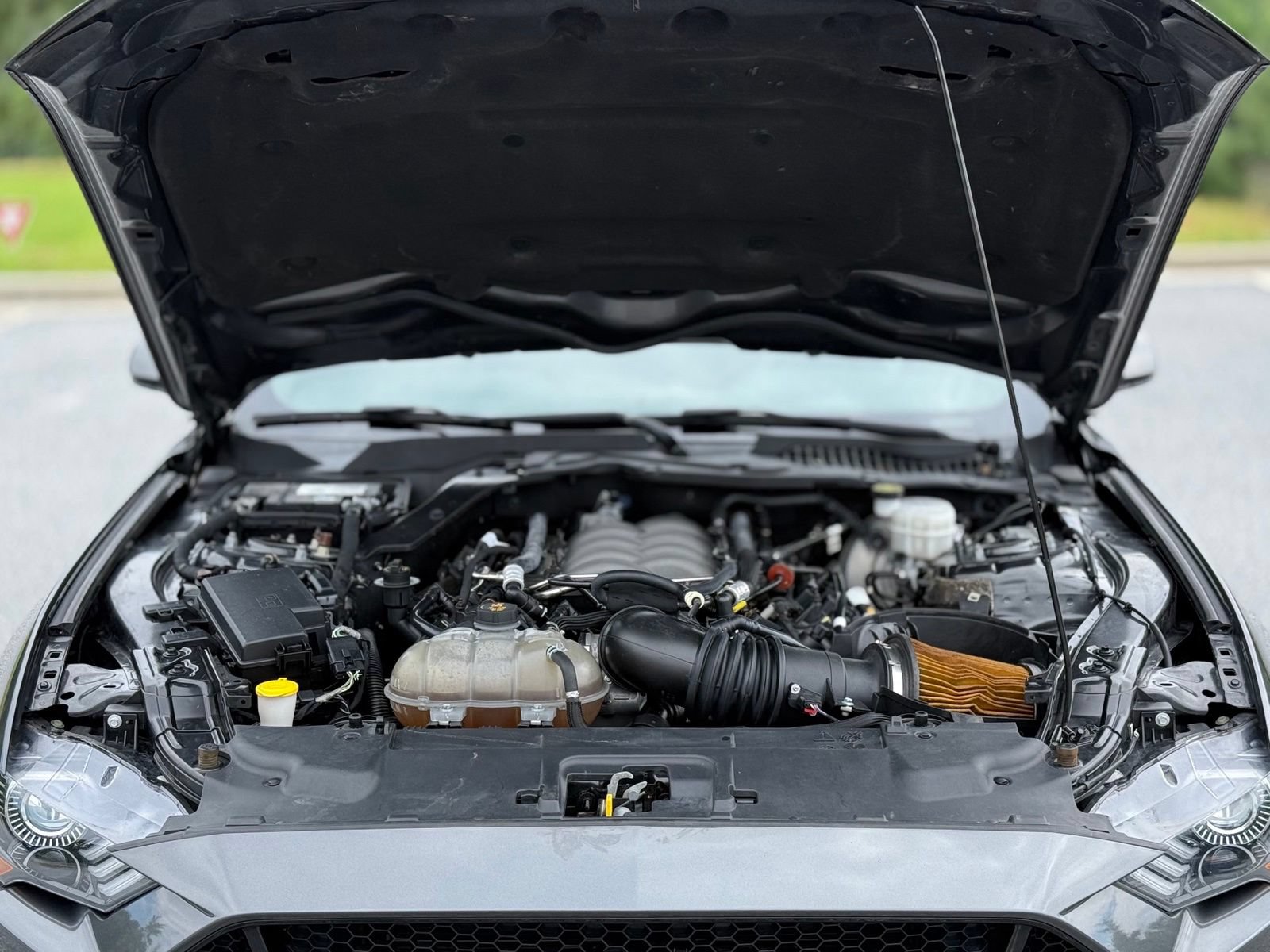 Used 2019 Ford Mustang GT RWD image 44